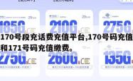 170号段充话费充值平台,170号码充值和171号码充值缴费。