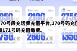 170号段充话费充值平台,170号码充值和171号码充值缴费。