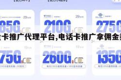 流量卡推广代理平台,电话卡推广拿佣金渠道。