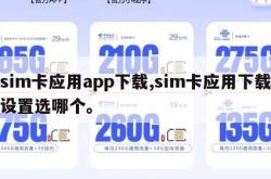sim卡应用app下载,sim卡应用下载设置选哪个。