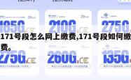 171号段怎么网上缴费,171号段如何缴费。