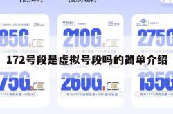 172号段是虚拟号段吗的简单介绍