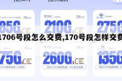 1706号段怎么交费,170号段怎样交费。