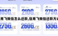 信用飞微信怎么还款,信用飞微信还款方式。
