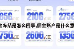 佣金冻结是怎么回事,佣金账户是什么意思。