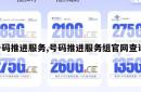 号码推进服务,号码推进服务组官网查询。