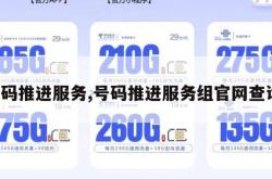 号码推进服务,号码推进服务组官网查询。