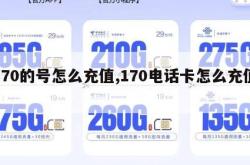 170的号怎么充值,170电话卡怎么充值。