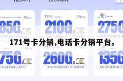 171号卡分销,电话卡分销平台。