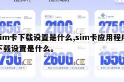 sim卡下载设置是什么,sim卡应用程序下载设置是什么。