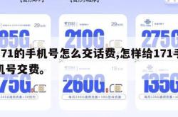 171的手机号怎么交话费,怎样给171手机号交费。