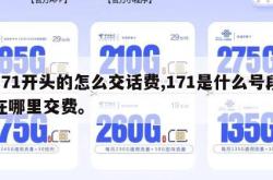 171开头的怎么交话费,171是什么号段在哪里交费。