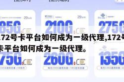 172号卡平台如何成为一级代理,172号卡平台如何成为一级代理。