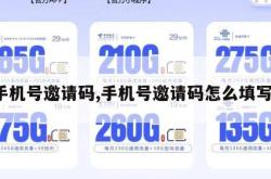 手机号邀请码,手机号邀请码怎么填写。