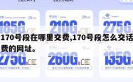 170号段在哪里交费,170号段怎么交话费的网址。