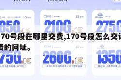 170号段在哪里交费,170号段怎么交话费的网址。
