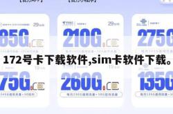 172号卡下载软件,sim卡软件下载。