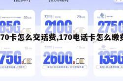 170卡怎么交话费,170电话卡怎么缴费。