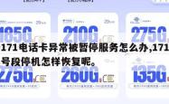 171电话卡异常被暂停服务怎么办,171号段停机怎样恢复呢。