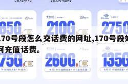 170号段怎么交话费的网址,170号段如何充值话费。