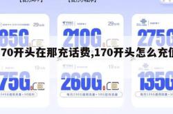 170开头在那充话费,170开头怎么充值。