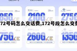 172号码怎么交话费,172号段怎么交费。