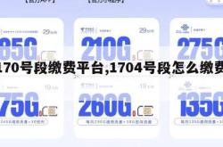 170号段缴费平台,1704号段怎么缴费。