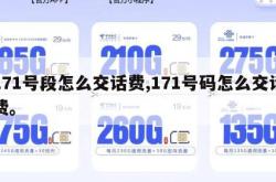 171号段怎么交话费,171号码怎么交话费。