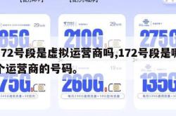 172号段是虚拟运营商吗,172号段是哪个运营商的号码。