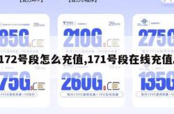 172号段怎么充值,171号段在线充值。