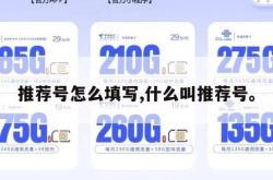 推荐号怎么填写,什么叫推荐号。