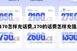 170怎样充话费,170的话费怎样充值。