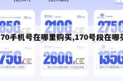 170手机号在哪里购买,170号段在哪买。