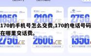 170的手机号怎么交费,170的电话号码在哪里交话费。