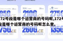 172号段是哪个运营商的号码呢,172号段是哪个运营商的号码呢怎么查。
