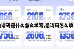 邀请码是什么怎么填写,邀请码怎么填?。