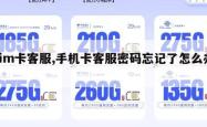 sim卡客服,手机卡客服密码忘记了怎么办。