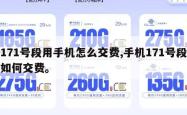 171号段用手机怎么交费,手机171号段如何交费。