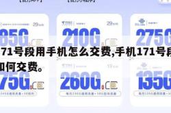 171号段用手机怎么交费,手机171号段如何交费。