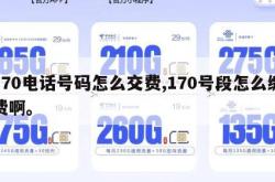 170电话号码怎么交费,170号段怎么缴费啊。
