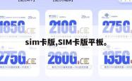 sim卡版,SIM卡版平板。