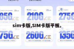 sim卡版,SIM卡版平板。
