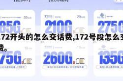 172开头的怎么交话费,172号段怎么交费。