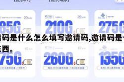 邀请码是什么怎么填写邀请码,邀请码是个什么东西。