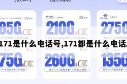 171是什么电话号,171都是什么电话。