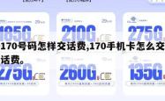 170号码怎样交话费,170手机卡怎么交话费。