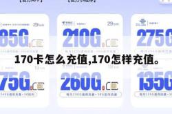 170卡怎么充值,170怎样充值。