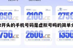 172开头的手机号码是虚拟号吗的简单介绍