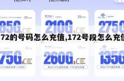 172的号码怎么充值,172号段怎么充值。