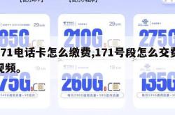 171电话卡怎么缴费,171号段怎么交费视频。
